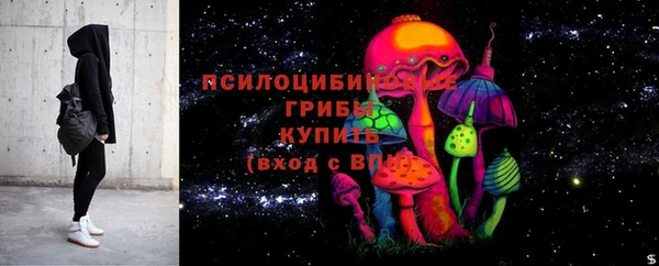 гидра Лиски