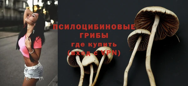 гашик Лихославль