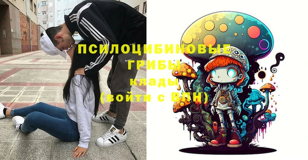 дмт Липки