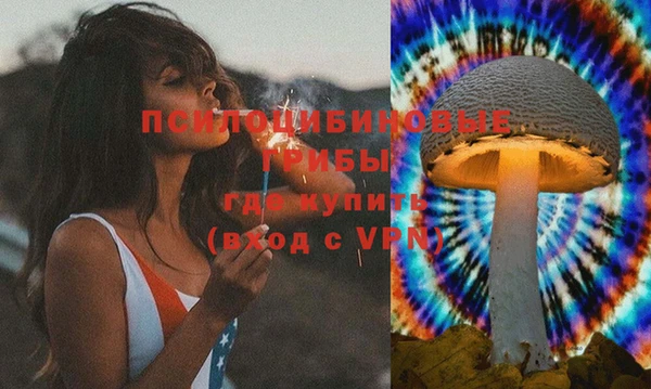 дмт Липки