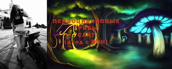 гашик Лихославль