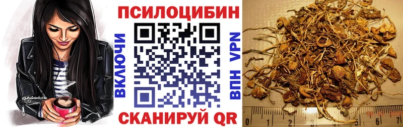 Купить закладки  Завитинск  Псилоцибиновые грибы Magic Shrooms 